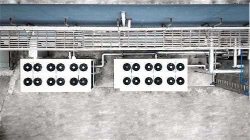 20251103724357.jpg 谷輪創新技術賦能中國菌菇種植產業,推動能效升級與可持續進步